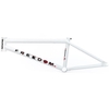BSD Freedom Frame - 2019