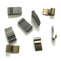 Eclat Blind Cassette Spring & Pawl Kit