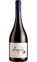 Amayna - Syrah 2011-13 75cl Bottle