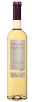 Cazes - Muscat de Rivesaltes 2013 12x 37.5cl Half Bottles