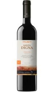 Torres Chile - Santa Digna Carmenere 2015 6x 75cl Bottles