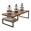 Ravi Coffee Table