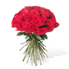 50 Long Stem Red Roses