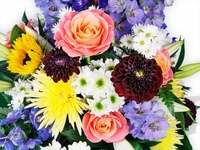 Colourful Oasis Dish