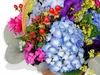 Country Basket