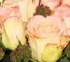 Esperance Roses Bouquet