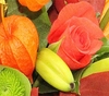 Orange Flower Posy