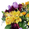 Peonies,  Gerberas and Tulips in a Vase