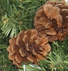 Pine Cone Christmas Wreath