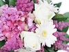 Pinks and Whites Posy