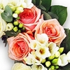 Roses and Freesia Luxury Funeral Wreath