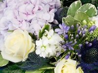 Thistle,  Hyde and Rose Wreath