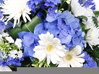 White and Blue Flowers Posy