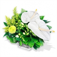 White Anthuriums and Freesias in a Vase