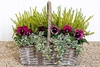 Autumn Basket Gift from Appleyard