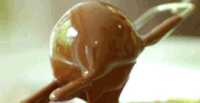 Fudge Making Workshop for Two