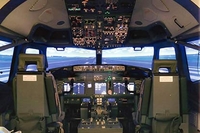 One Hour Flight Simulator Experience