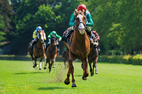 Six Month Membership to the Elite Racing Club