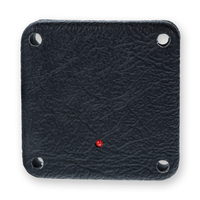 All-in-One Panel Mount Access Control Unit and Proximity Reader