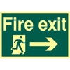 ASEC "Fire Exit" 200mm x 300mm PVC Self Adhesive Photo luminescent Sign