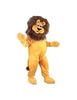 Fancy Dress - Happy Lion Mascot Costume