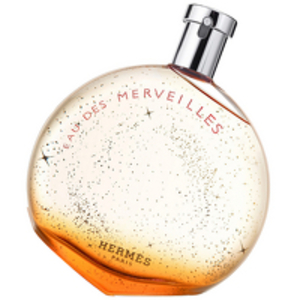 Hermes Eau des Merveilles Eau de Toilette Spray 100ml