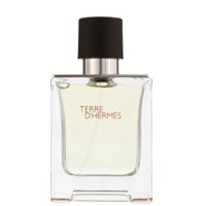 Hermes Terre D