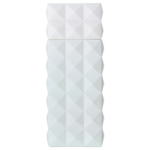 ST Dupont Blanc Eau de Parfum Spray 100ml