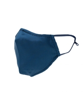 Blue White Fine Pinspot Silk Face Mask