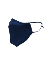 Navy Silk Face Mask