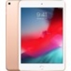 Apple iPad mini (5th Generation) Tablet - 20.1 cm (7.9") - 64 GB Storage - iOS 12 - Gold - Apple A12 Bionic SoC - 7 Megapixel Front Camera - 8 Megapixel Rear Camera