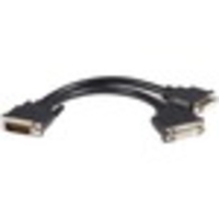 StarTech.com LFH 59 Male to Dual Female DVI I DMS 59 Cable - 2 x DVI-D (Dual-Link) Female - Black