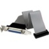 StarTech.com Low Profile 16in Parallel Port Header Cable Adapter with Bracket - DB25 (F) to IDC26 - Grey
