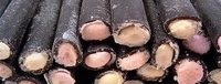 Liquorice Flyers