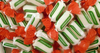 Sugar Free Spearmint Chews