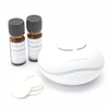 AromaWorks Light Range - USB Aroma Diffuser & Duo 10ml Oil Gift Set