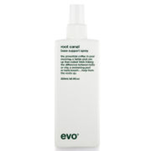 Evo Root Canal Base Support Spray (200ml)