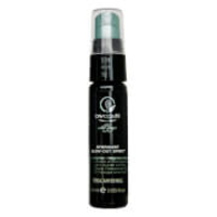 Paul Mitchell Awapuhi Wild Ginger HydroMist Blow-Out Spray 25ml