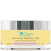 The Organic Pharmacy Antioxidant Cleansing Jelly 100ml