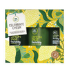 Paul Mitchell Tea Tree Celebrate Cheer Gift Set (Worth £43.30)