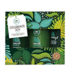 Paul Mitchell Tea Tree Celebrate Joy Gift Set (Worth £41.30)